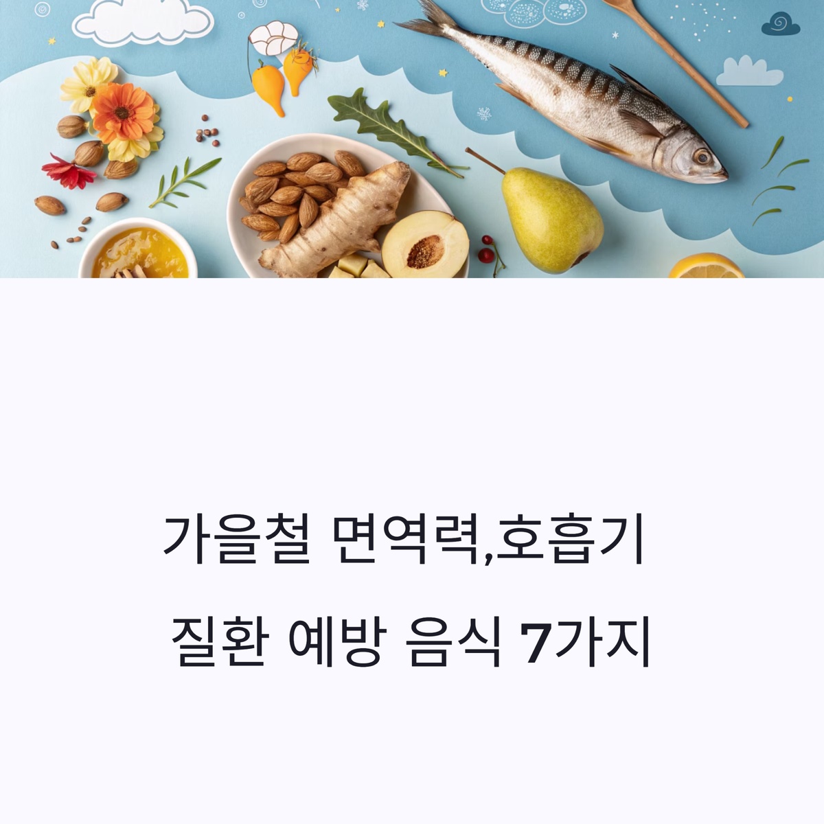 가을철 면역력과 호흡기 질환 예방 음식 7가지 대표 이미지