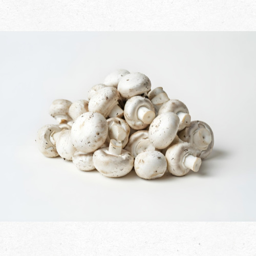 8월 제철버섯 양송이버섯 샐러드