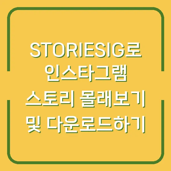 STORIESIG로 인스타그램 스토리 몰래보기 및 다운로드하기