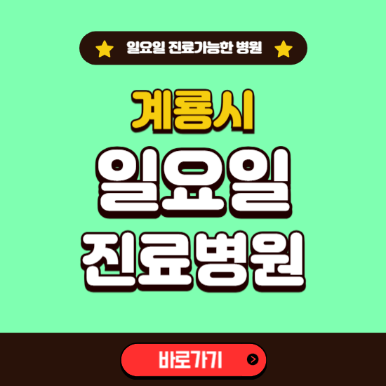 계룡시 일요일 진료 가능한 병원 ❘ 주말 문여는 곳 총정리 (소아과, 내과, 안과, 치과, 피부과, 정형외과, 산부인과)