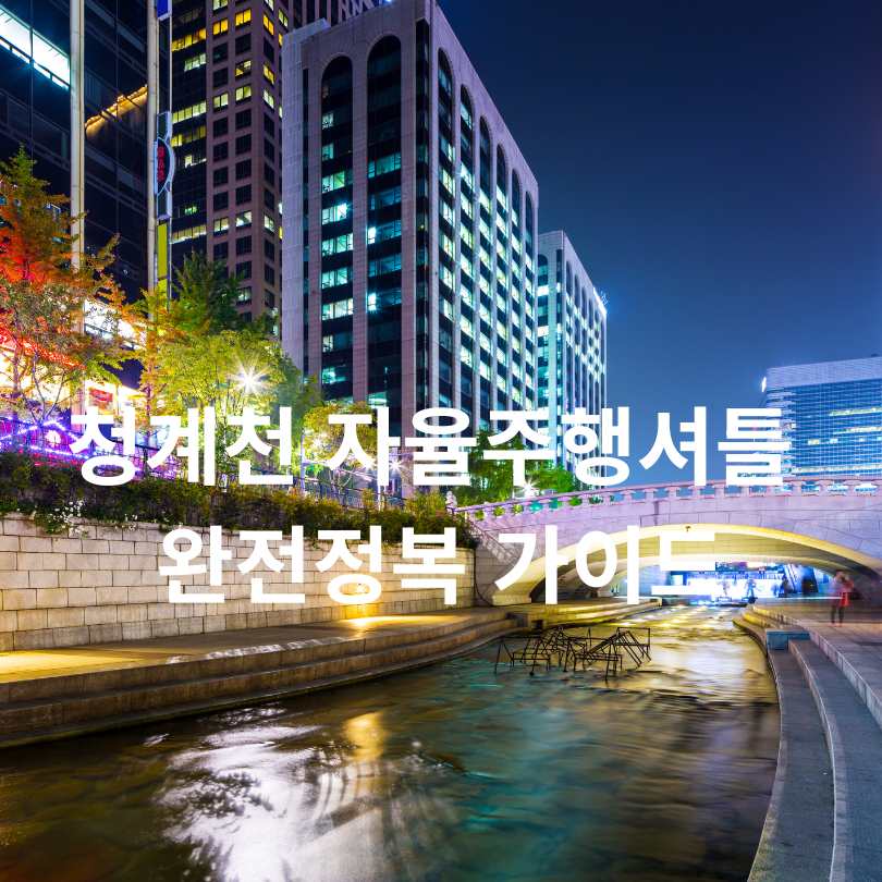 청계천 자율주행셔틀 완전정복 가이드