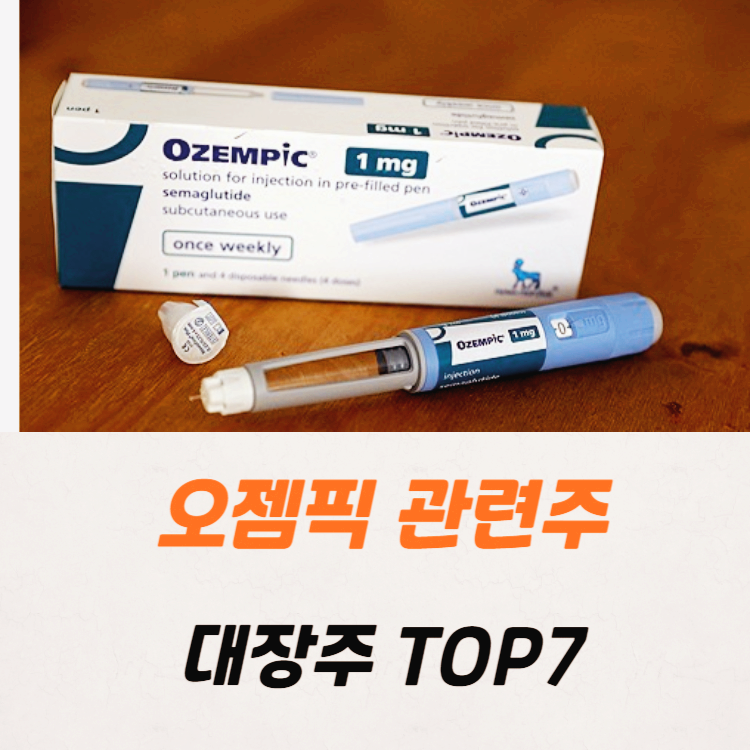 오젬픽 관련주 대장주 테마주 TOP7 : 노보노디스크