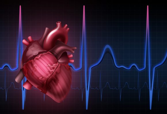 마그네슘 효능-심장박동