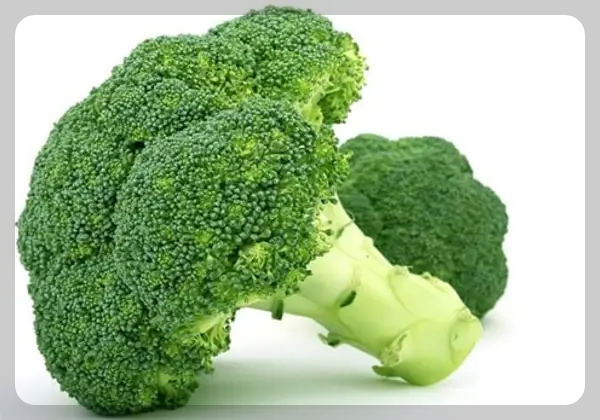 결핵에 좋은음식-브로콜리