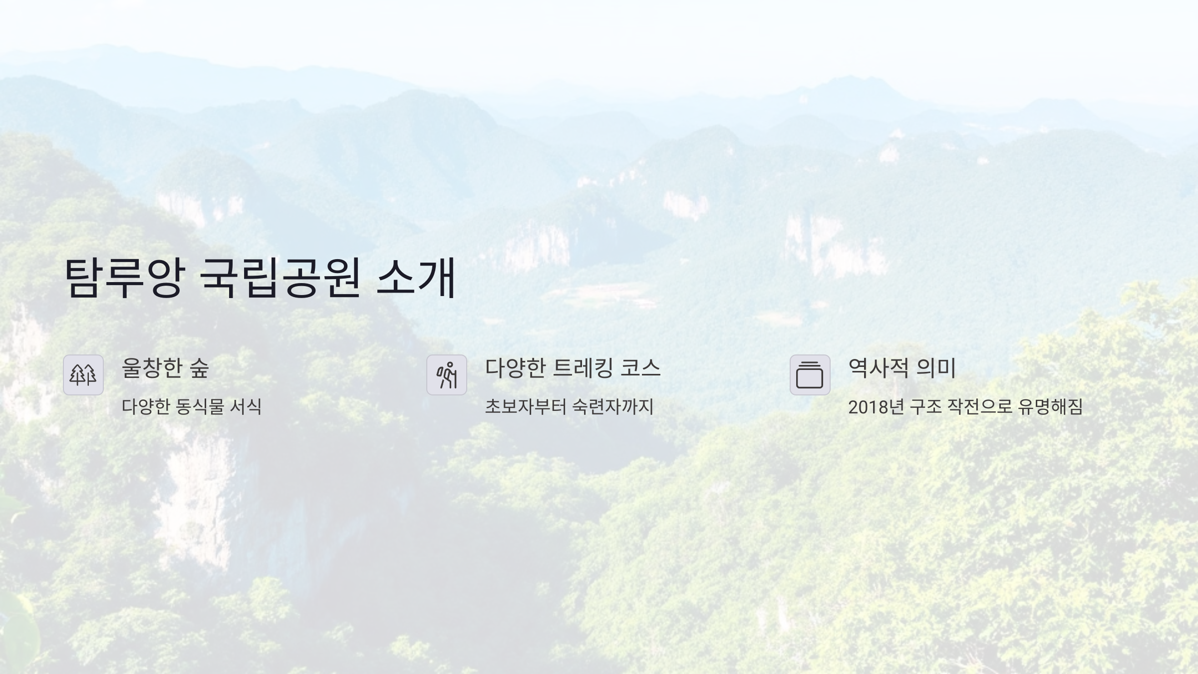 탐루앙 국립공원 소개: 태국 치앙라이의 숨겨진 자연 보호구역