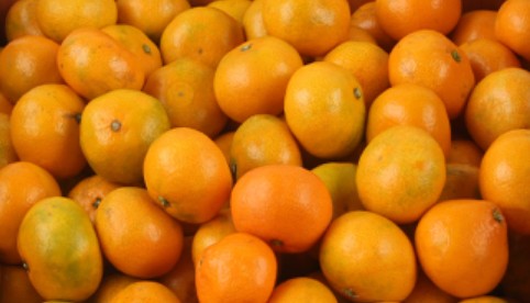 겨울철 보약 귤의 효능/효과, 과다섭취 부작용, 귤껍질 활용법