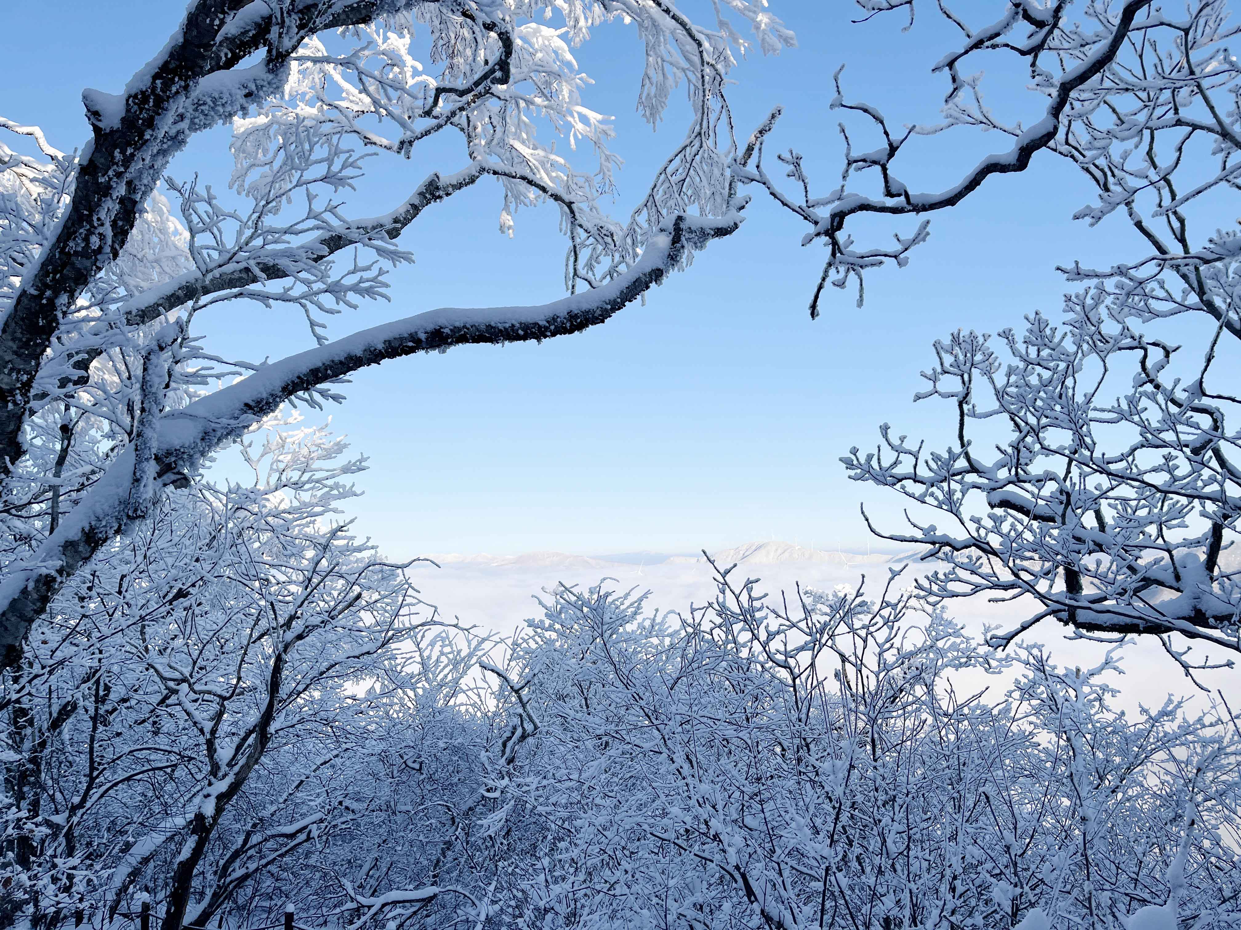 태백산