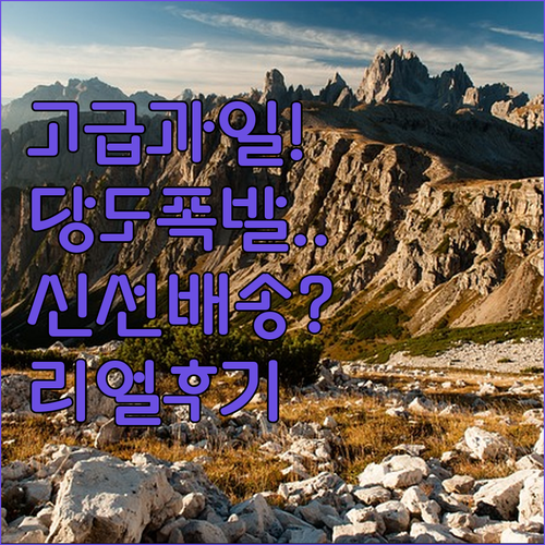 고급 과일 선물세트 브랜드별 당도와 ..