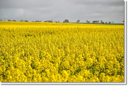 4월 5월 가볼만한곳 지역축제