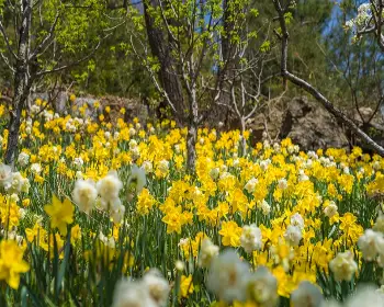 화담숲 예약 방법_18