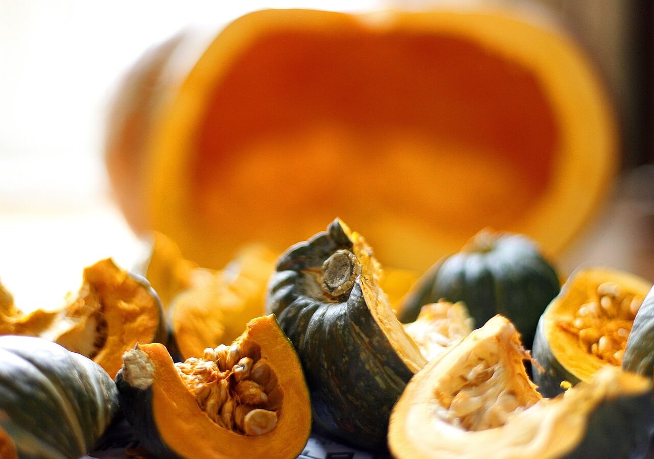 단호박 수확 사진