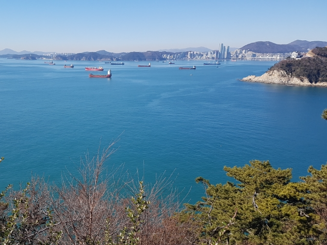 태종대
