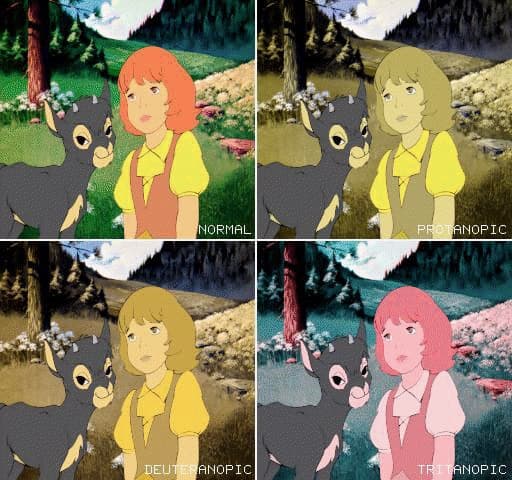 색맹 타입 별로 보이는 색상 차이