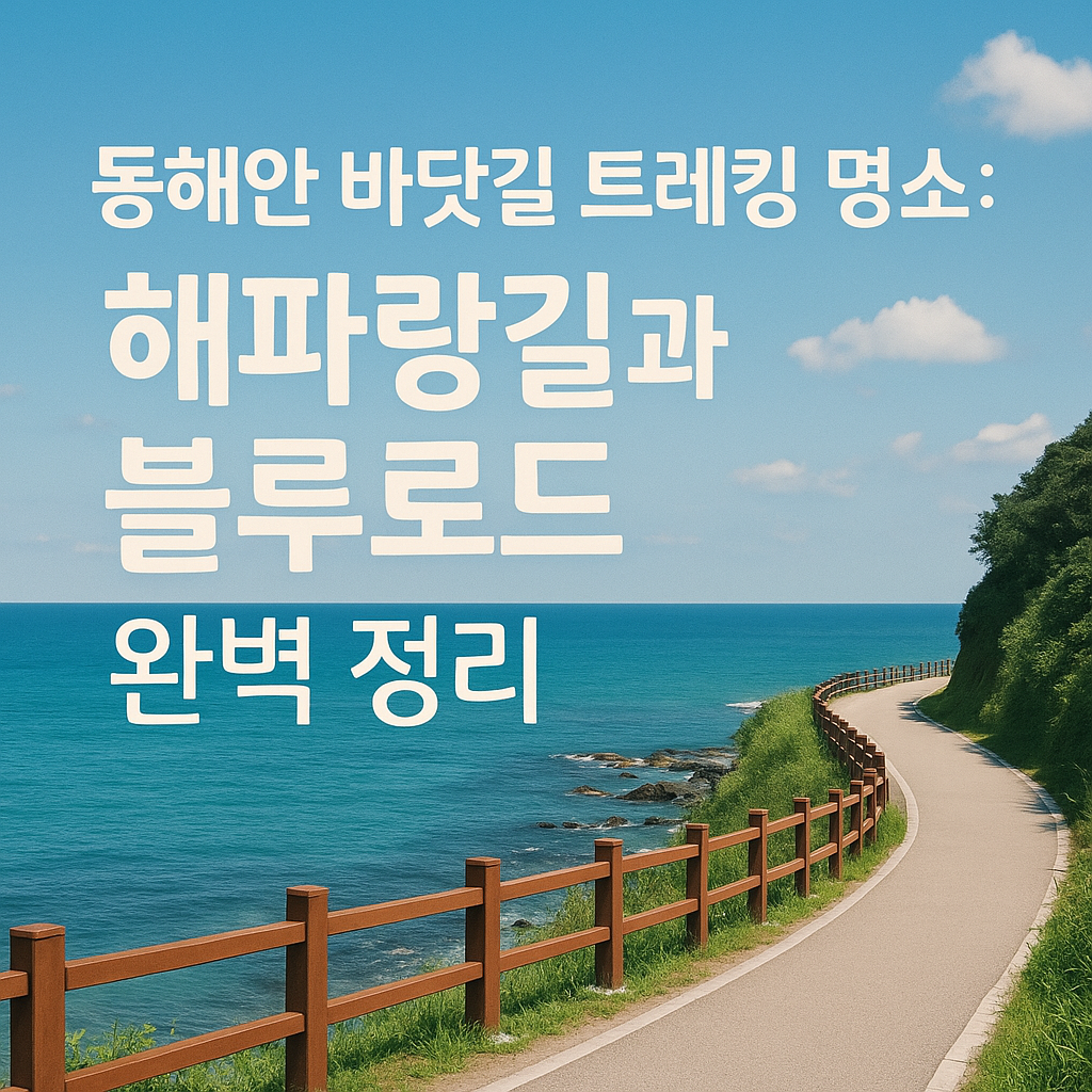 동해안 바닷길 트레킹 명소: 해파랑길과 블루로드 완벽 정리