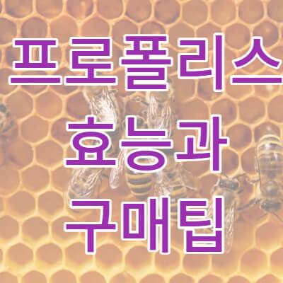 프로폴리스 효능 썸네일