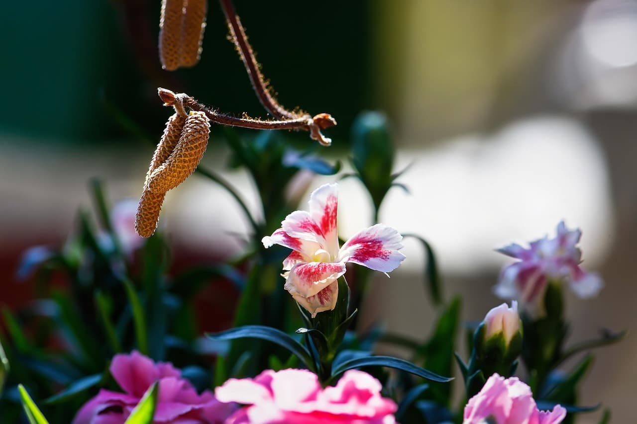 지속 가능한 소재로 만든 운동복, 기능성과 친환경의 조화