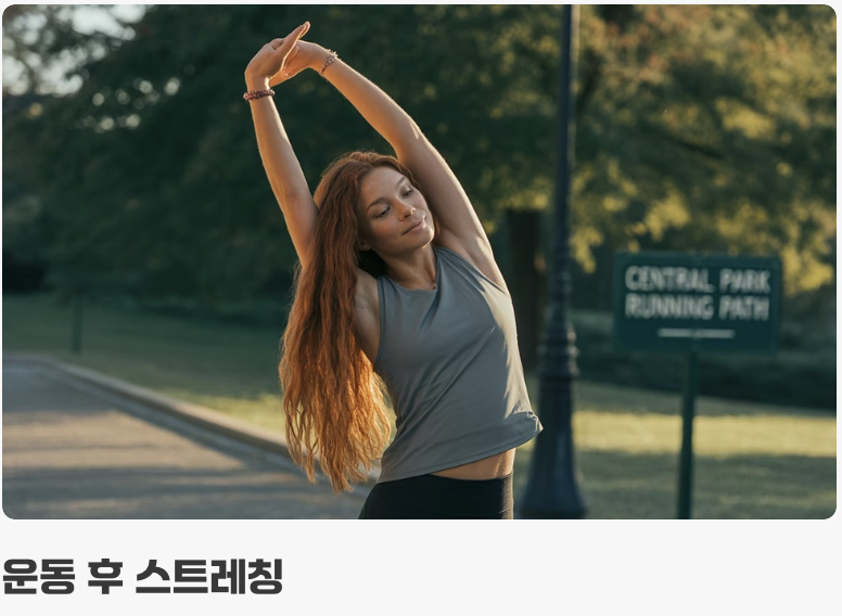 오해 5: 운동 전후 스트레칭은 시간 낭비다?
