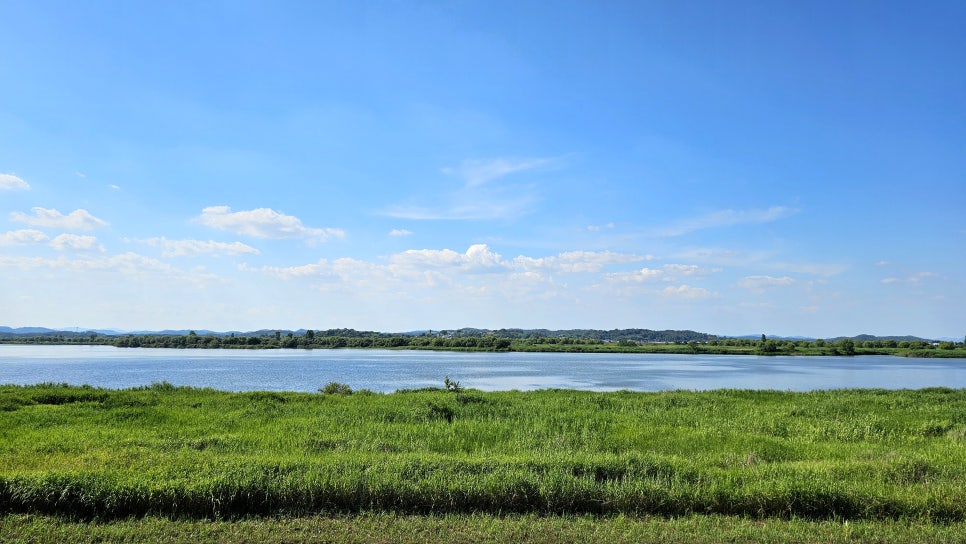 익산 용안생태습지
