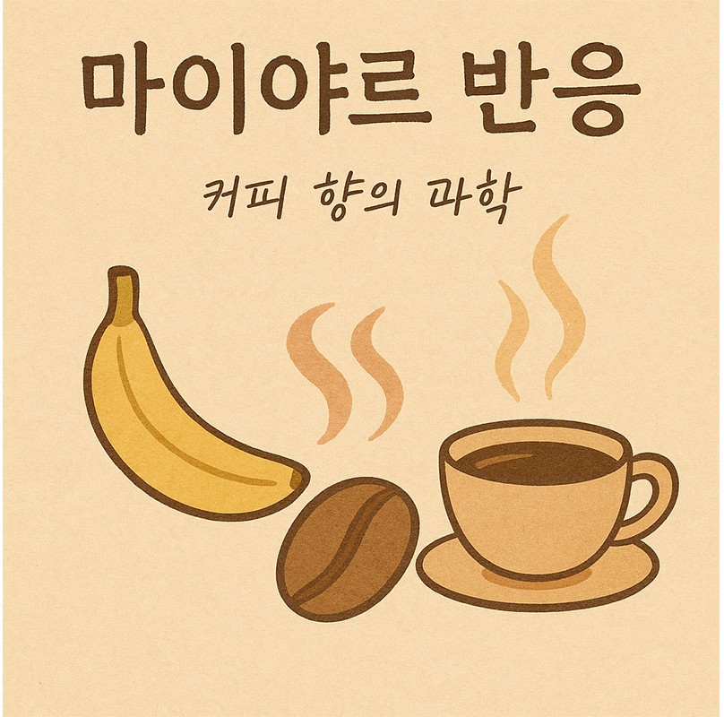 AI가 만들어준 당과 단백질이 만나 피어나는 커피의 향. 마이야르 반응, 향의 과학이자 감성의 시작.