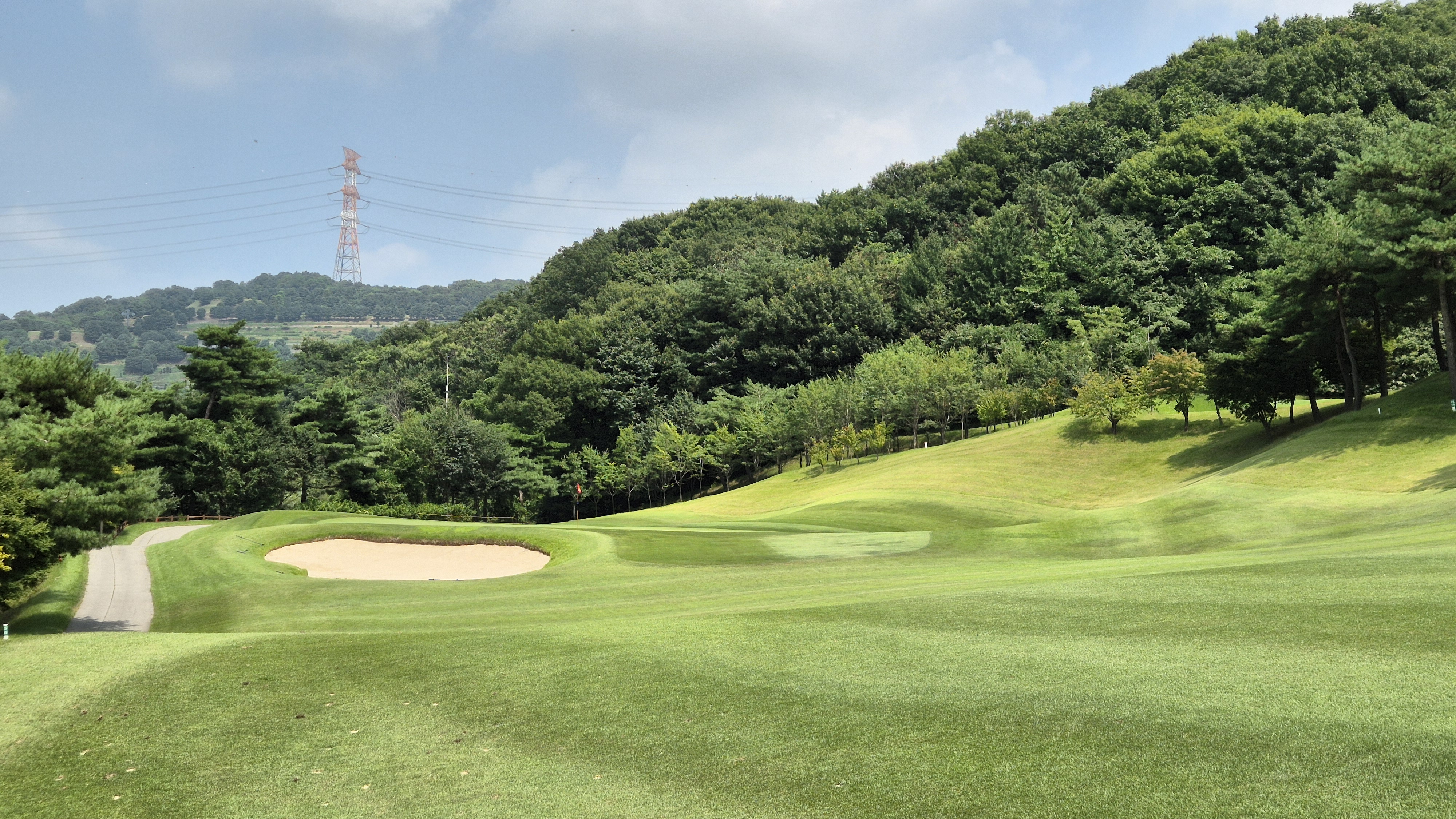 골프존카운티 안성H