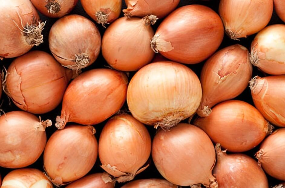 흉터가생겼을때양파