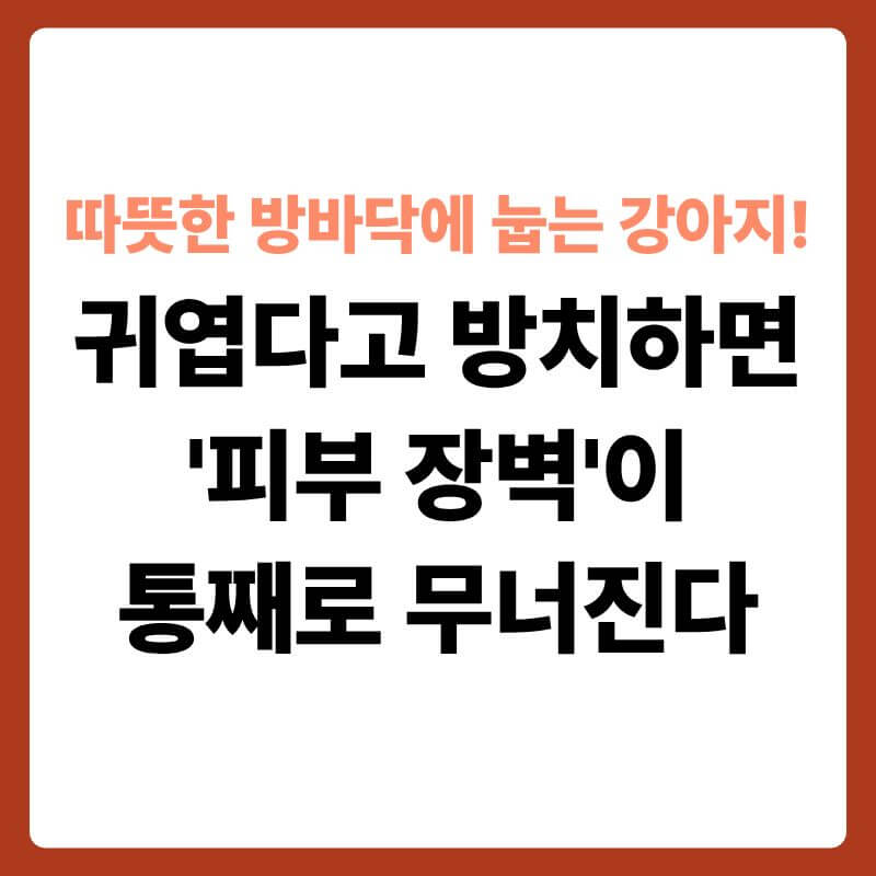보일러 가동으로 붉은색 열기가 올라오는 거실 방바닥에 배를 깔고 엎드려 잠을 자고 있는 강아지의 모습 옆으로, 장판과 마루 틈새 내부가 투명한 3D 과학 그래픽으로 확대된 장면