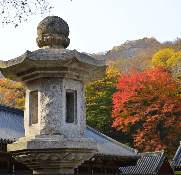 단풍축제 장성군 백양사