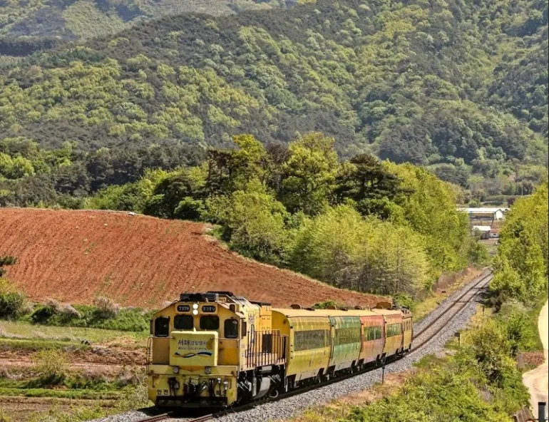 🚄 서해금빛열차 온돌마루 특실 예약하는 법! 가격·노선·좌석 완전 비교 (2025)
