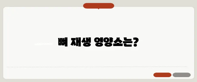 골절에 좋은 음식 뼈 재생 돕는 영양소