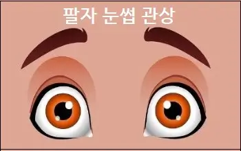팔자 눈썹 관상