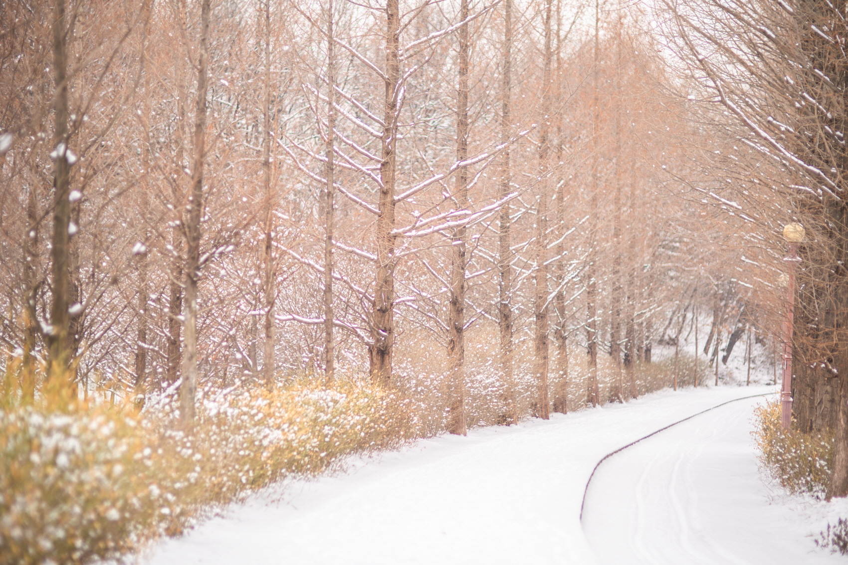이 길을 따라가면 인천대공원 캠핑장을 갈 수 있습니다.
너나들이 캠핑장이라고 하는데 계절별 이용하기 좋습니다.