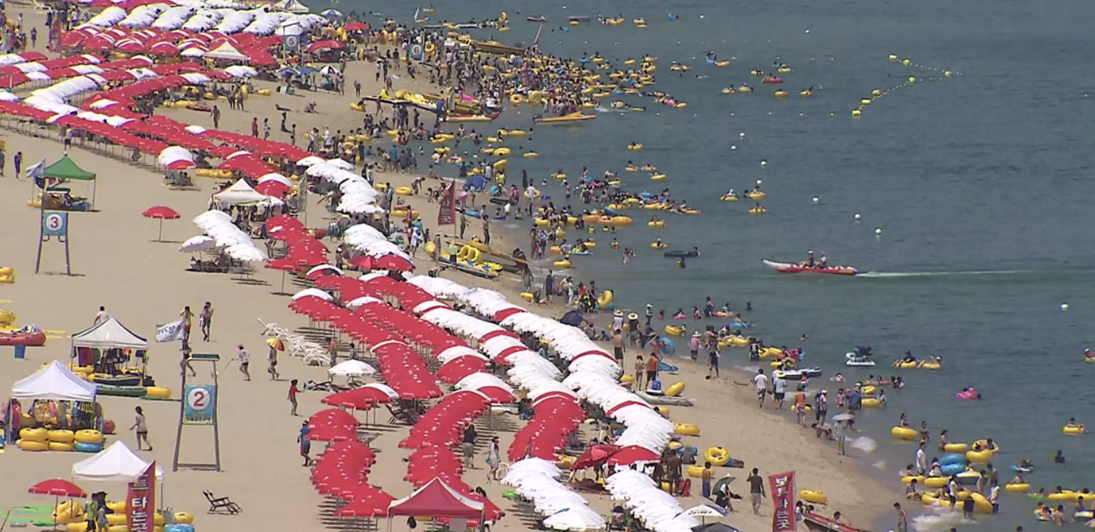 휴가철 바가지요금 집중 관리 체계