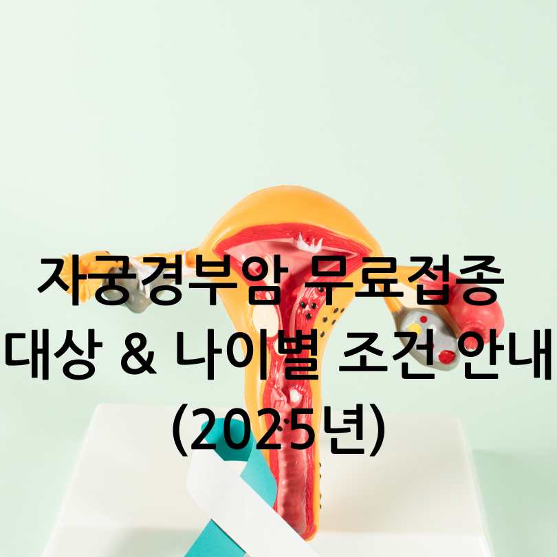 자궁경부암 예방접종 무료대상