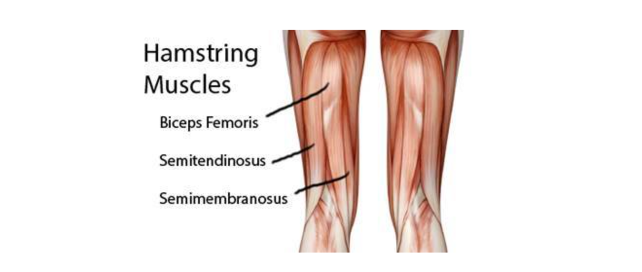 전문의 상담이 필요한 햄스트링 증상