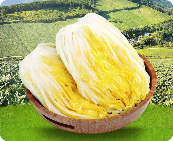 강원도 절임배추 이미지/ 출처: 이마트몰 SSG홈페이지