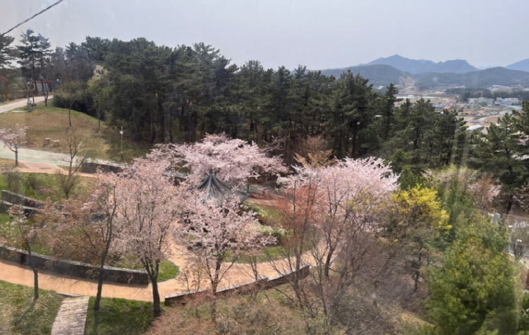 울진 케이블카