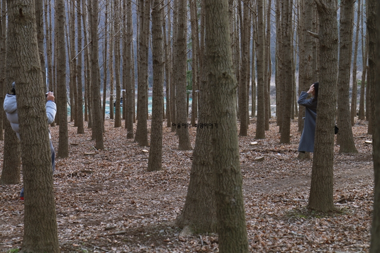 경주 가볼만한곳 베스트10