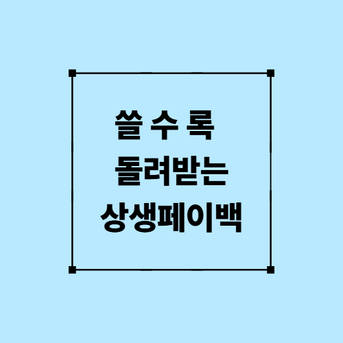 상생페이백