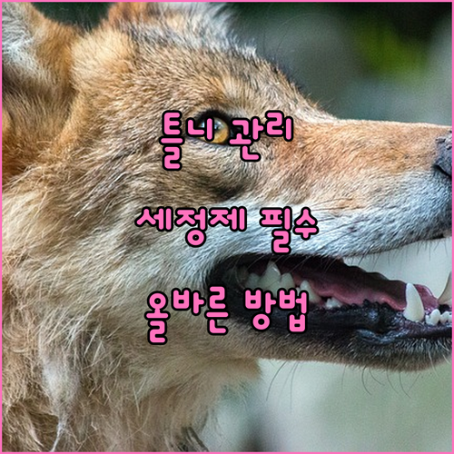 틀니 세정제 필수 사용해야 하는 이유