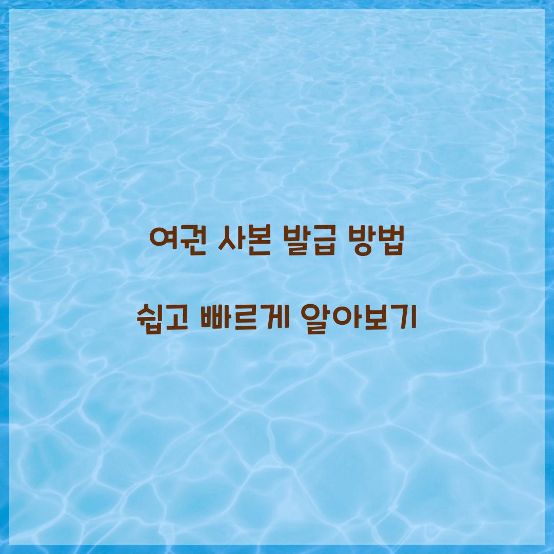 여권 사본 발급