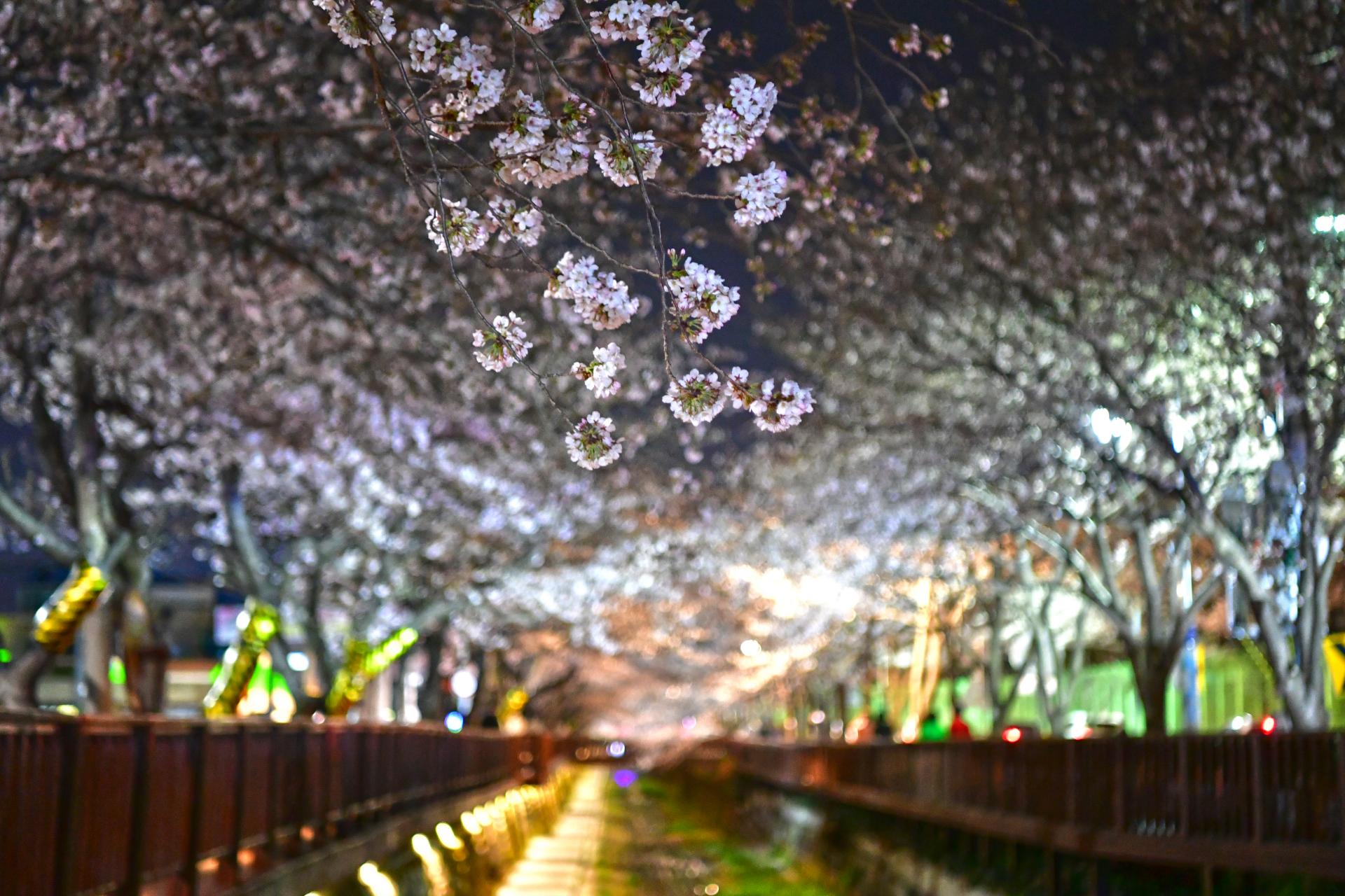 여좌천로망스다리