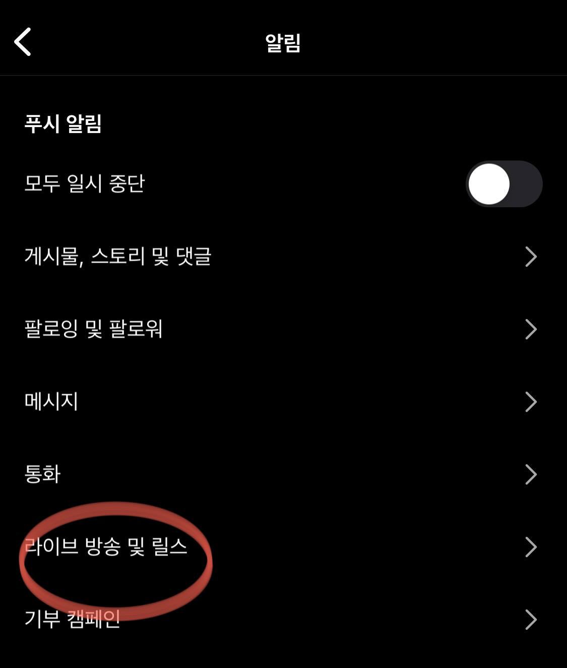 인스타 라이브방송, 릴스 설정 메뉴