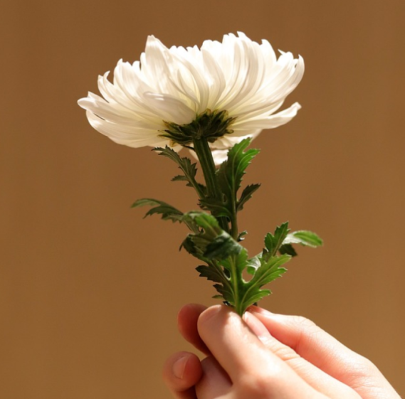 조문 위로말 부고 위로의 말 문자 장례식장 예절 시간 절차 순서 총정리