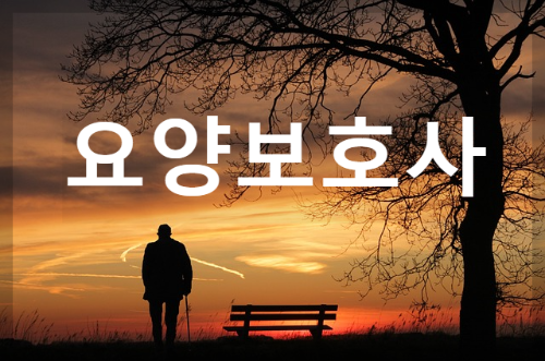 요양보호사