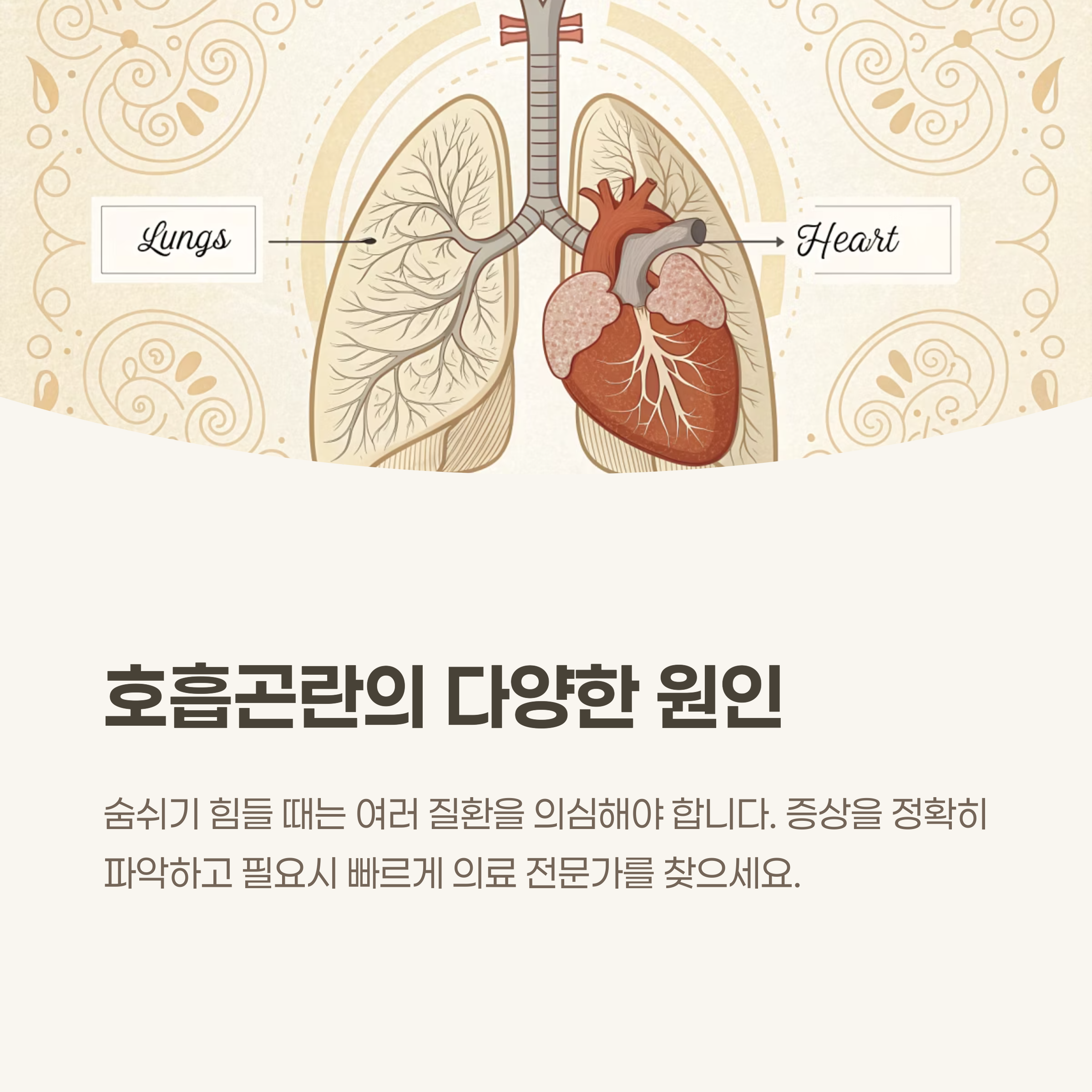 호흡곤란을 부르는 다양한 건강 문제, 무엇을 의심해야 할까요?