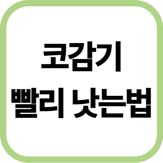 코감기 빨리 낫는법