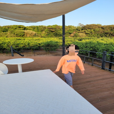 한경맛집 명리동식당 밀크홀 제주개생활연구소