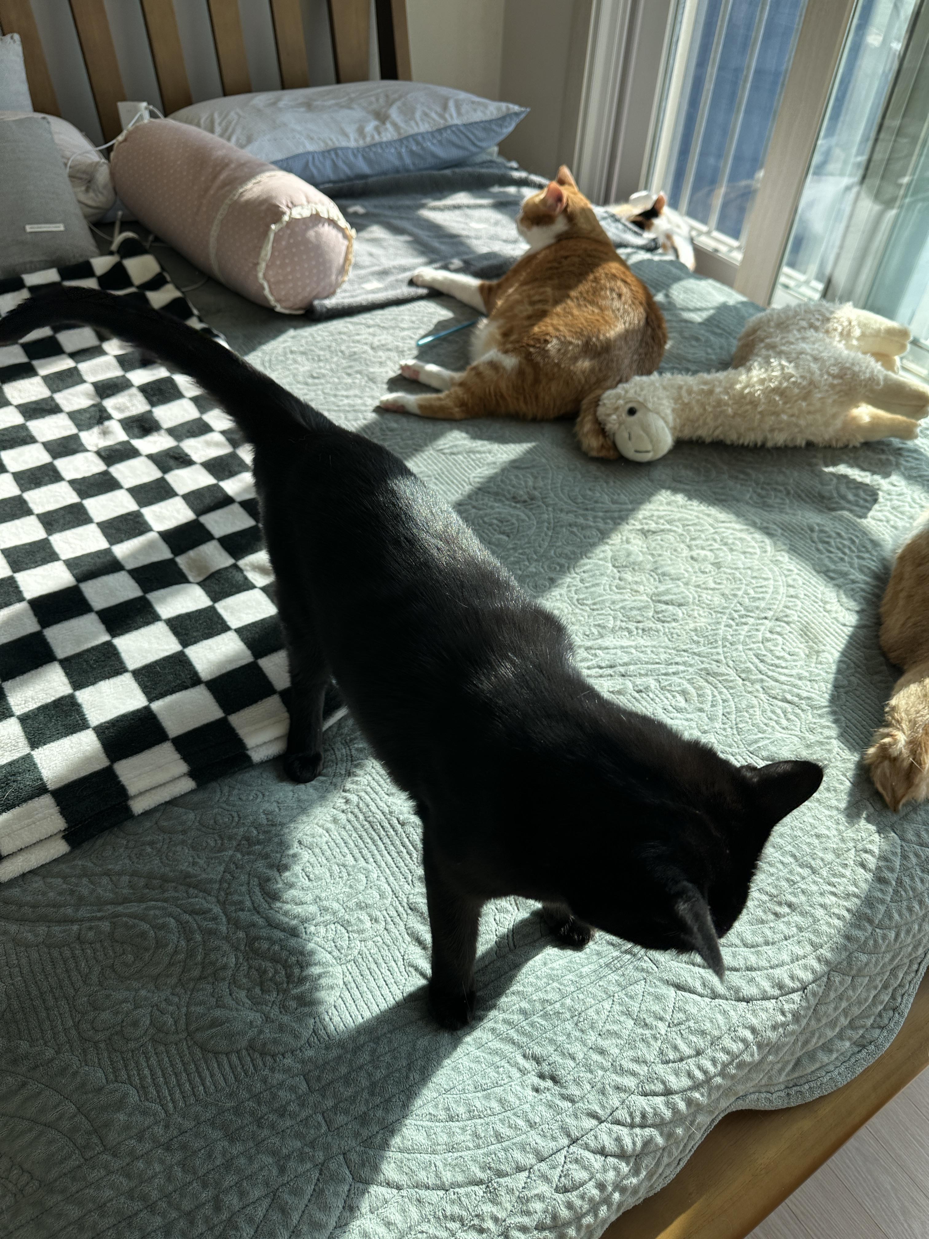 결국_엄마를_자기_앞으로_데리고_나온_질투쟁이_건이