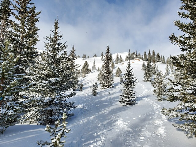 콜로라도의 눈이 덮혀있는 겨울 풍경