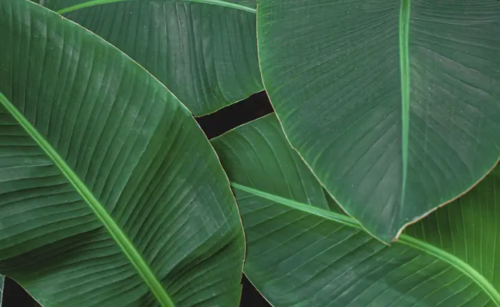 푸드올로지 부작용 8